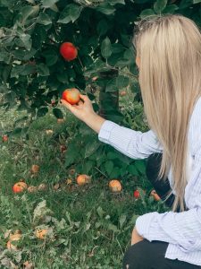 What does organic mean to you. Girl picking apples from tree