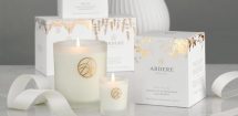 The Self-discovery Collection