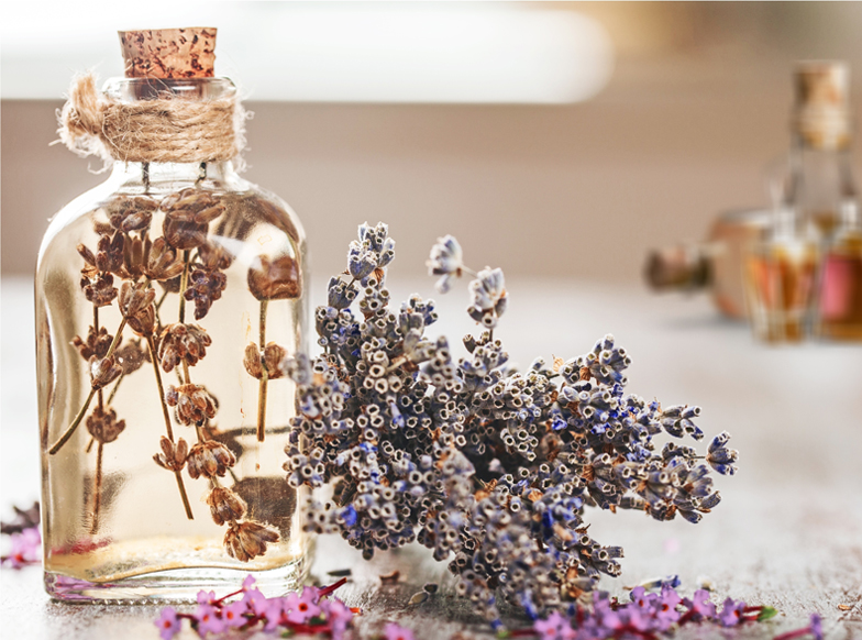 An Introduction to Aromatherapy